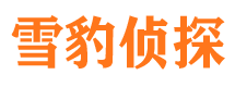 海安市侦探调查公司